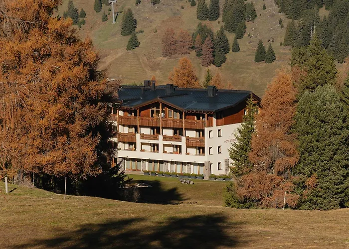 Steger-Dellai